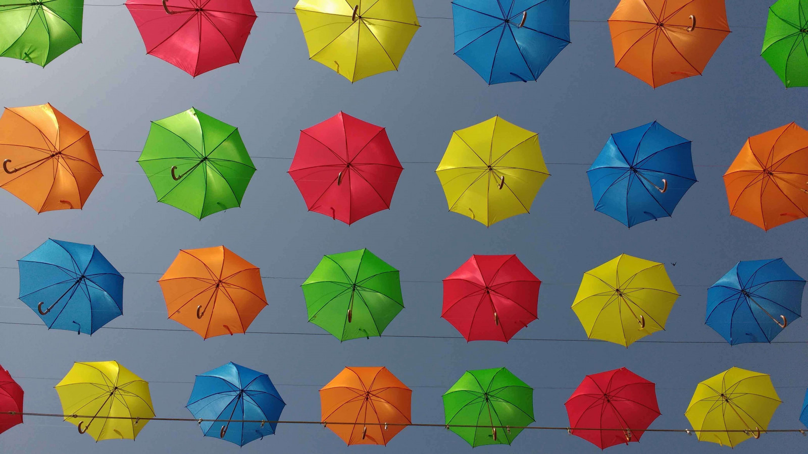 colourful-brolleys
